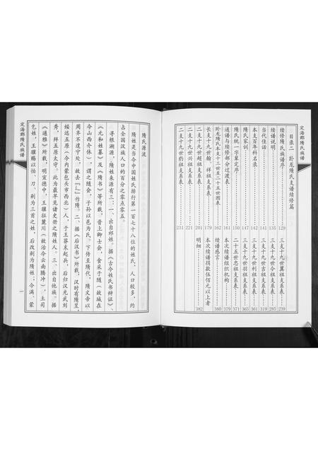 山东隋氏-定海郡隋氏族谱.pdf电子版插图3 山东隋氏-定海郡隋氏族谱.pdf电子版插图3