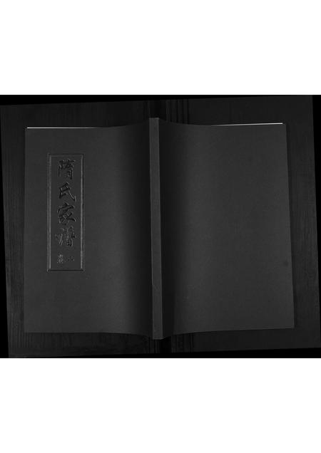 山东隋氏-隋氏家谱[2卷].pdf电子版