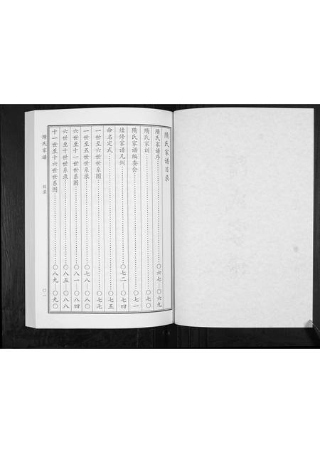 山东隋氏-隋氏家谱[2卷].pdf电子版插图2