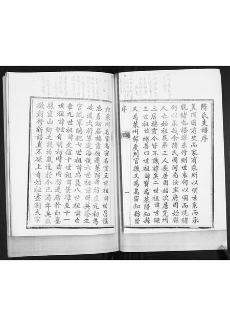 山东隋氏-隋氏支谱.pdf电子版插图1