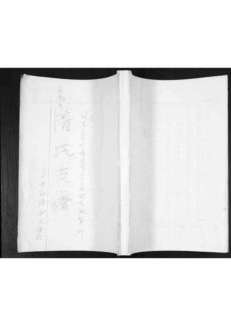 山东隋氏-隋氏支谱.pdf电子版插图 山东隋氏-隋氏支谱.pdf电子版插图