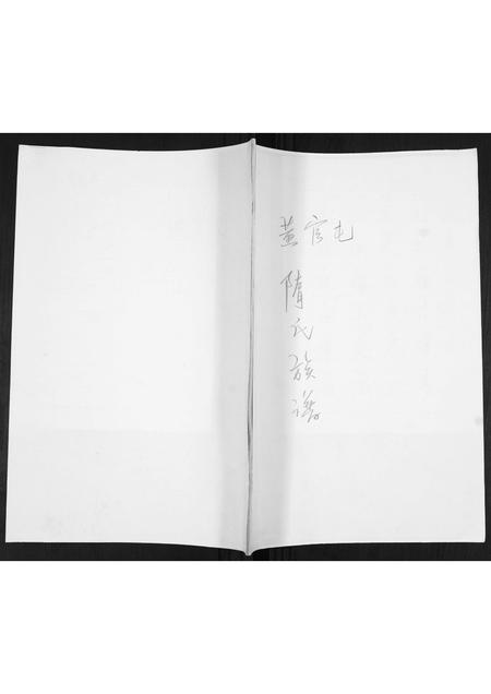 山东隋氏-隋氏族谱.pdf电子版插图 山东隋氏-隋氏族谱.pdf电子版插图