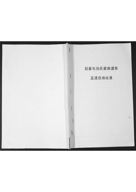 山东孙氏-后家屯孙氏家族谱系.pdf电子版