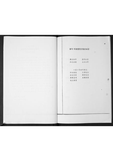 山东孙氏-后家屯孙氏家族谱系.pdf电子版插图3