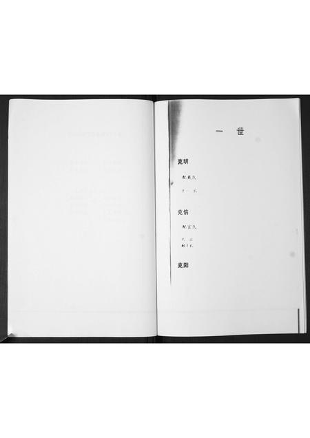 山东孙氏-后家屯孙氏家族谱系.pdf电子版插图4