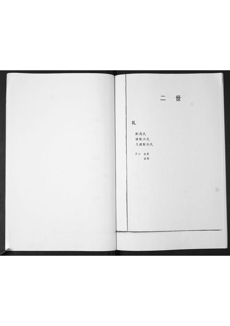 山东孙氏-后家屯孙氏家族谱系.pdf电子版插图5