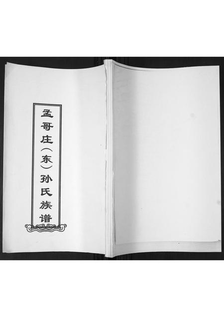 山东孙氏-孟戈庄(东)孙氏族谱[不分卷].pdf电子版