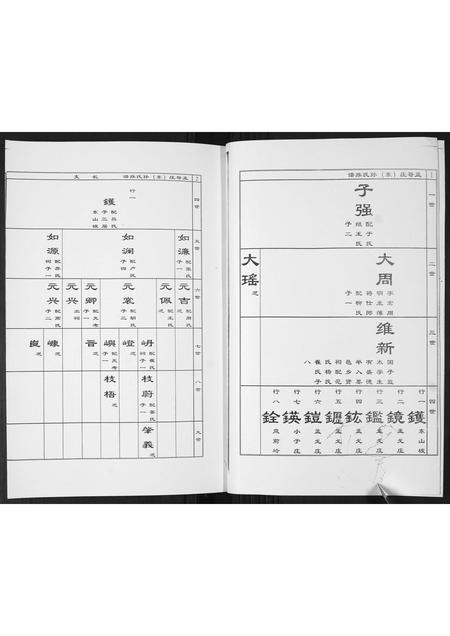 山东孙氏-孟戈庄(东)孙氏族谱[不分卷].pdf电子版插图2