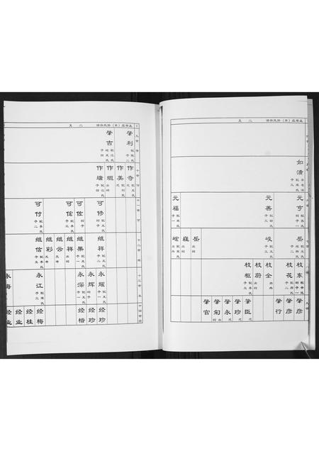 山东孙氏-孟戈庄(东)孙氏族谱[不分卷].pdf电子版插图5