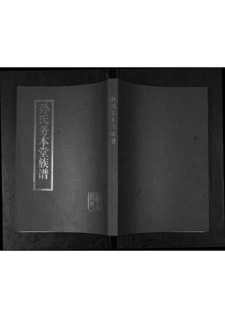 山东孙氏-孙氏务本堂族谱[不分卷].pdf电子版