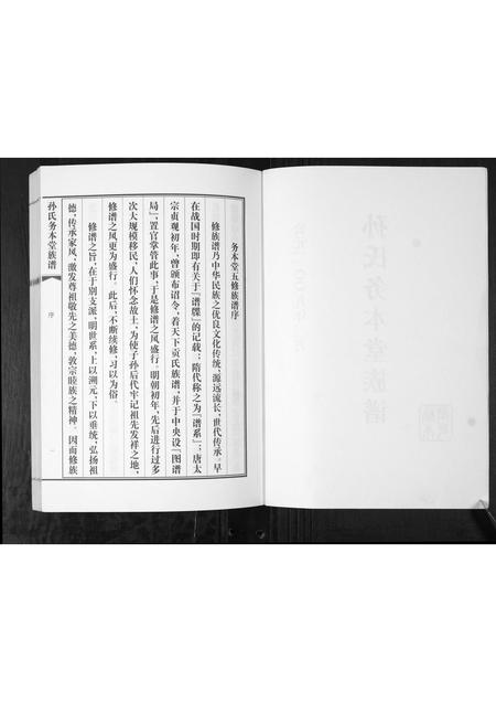 山东孙氏-孙氏务本堂族谱[不分卷].pdf电子版插图2