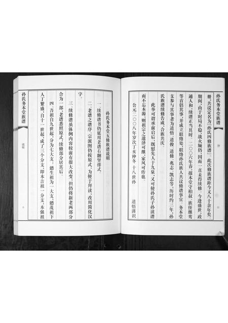 山东孙氏-孙氏务本堂族谱[不分卷].pdf电子版插图4