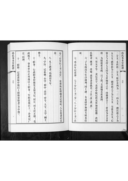 山东孙氏-孙氏务本堂族谱[不分卷].pdf电子版插图5