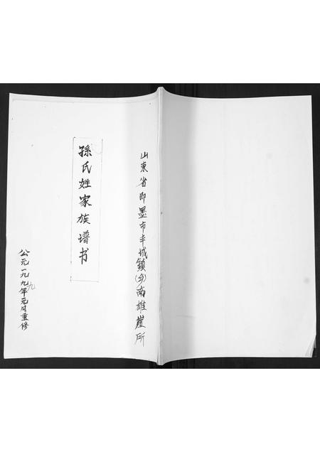 山东孙氏-孙氏姓家族谱书[不分卷].pdf电子版