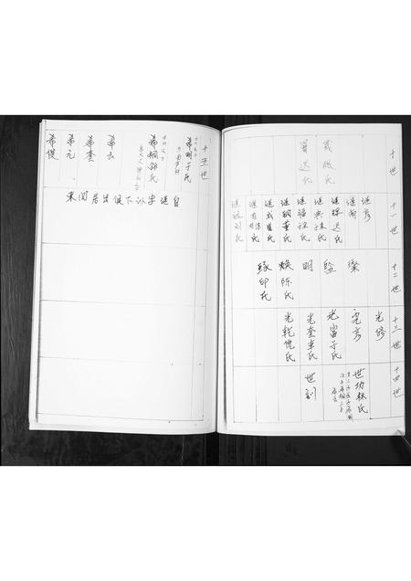 山东孙氏-孙氏姓家族谱书[不分卷].pdf电子版插图4