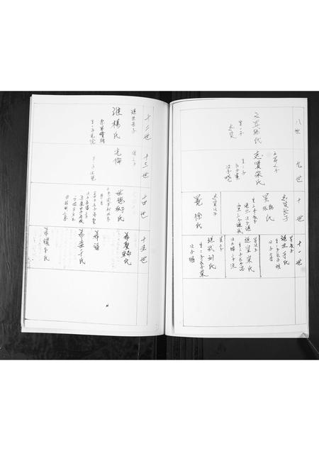 山东孙氏-孙氏姓家族谱书[不分卷].pdf电子版插图5