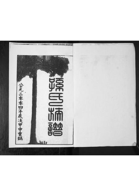 山东孙氏-孙氏家谱.pdf电子版插图1 山东孙氏-孙氏家谱.pdf电子版插图1