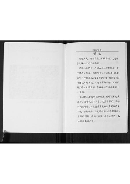 山东孙氏-孙氏家谱(部分).pdf电子版插图4 山东孙氏-孙氏家谱(部分).pdf电子版插图4