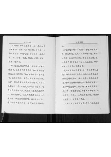山东孙氏-孙氏家谱(部分).pdf电子版插图5 山东孙氏-孙氏家谱(部分).pdf电子版插图5