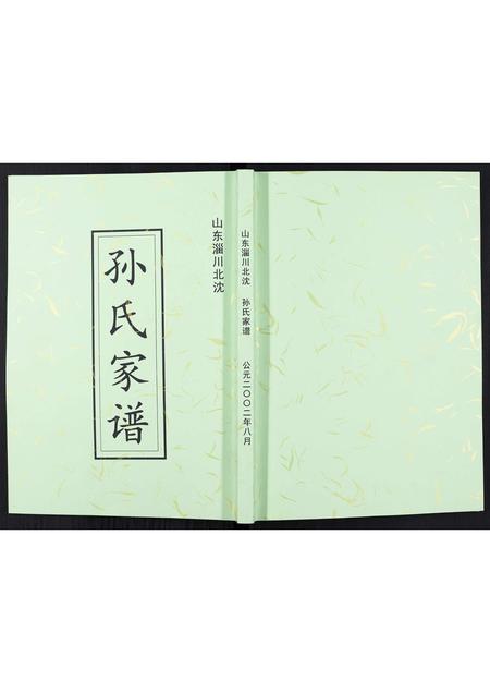 山东孙氏-孙氏家谱[不分卷].pdf电子版