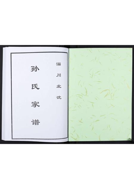 山东孙氏-孙氏家谱[不分卷].pdf电子版插图1