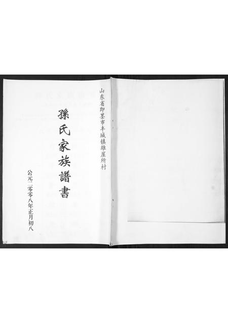 山东孙氏-孙氏家谱谱书[不分卷].pdf电子版