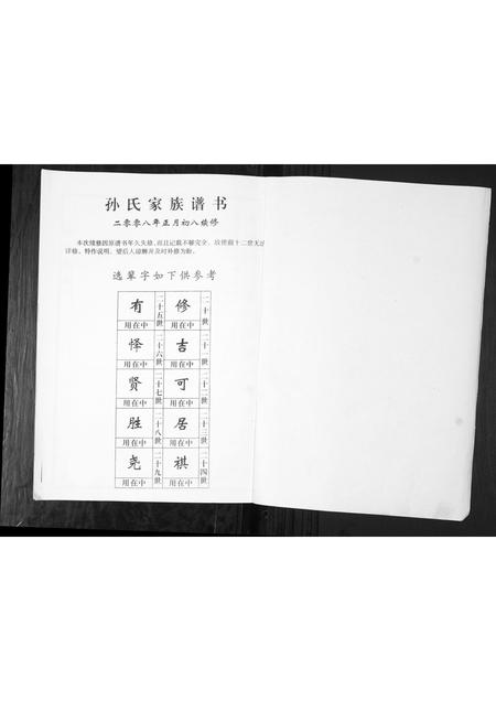 山东孙氏-孙氏家谱谱书[不分卷].pdf电子版插图1