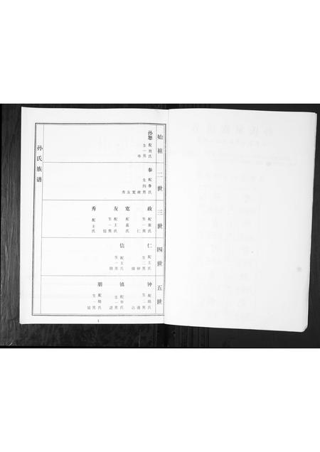 山东孙氏-孙氏家谱谱书[不分卷].pdf电子版插图2