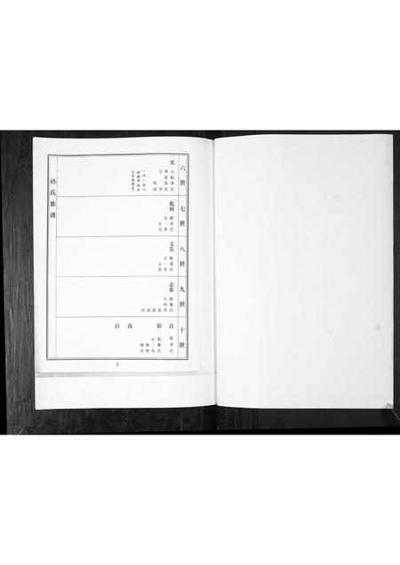 山东孙氏-孙氏家谱谱书[不分卷].pdf电子版插图3