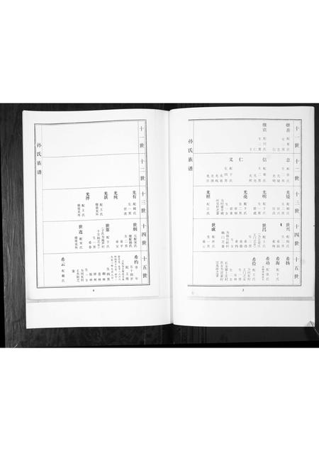 山东孙氏-孙氏家谱谱书[不分卷].pdf电子版插图4