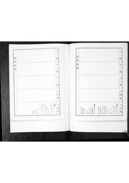 山东孙氏-孙氏家谱谱书[不分卷].pdf电子版插图5