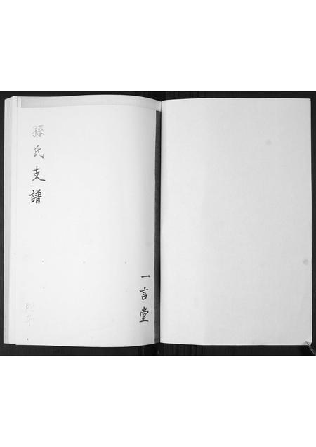 山东孙氏-孙氏支谱.pdf电子版插图1 山东孙氏-孙氏支谱.pdf电子版插图1