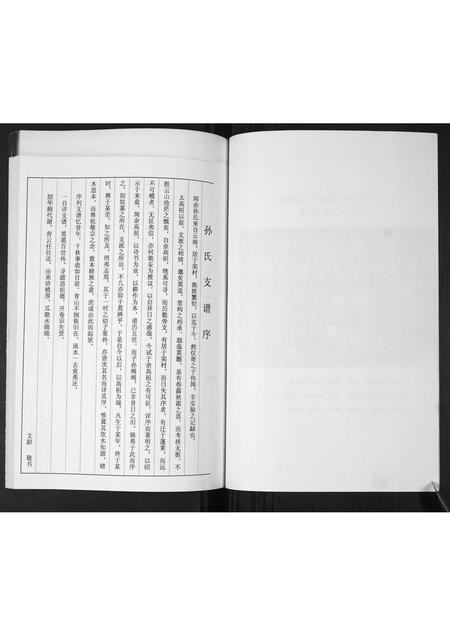 山东孙氏-孙氏支谱.pdf电子版插图5 山东孙氏-孙氏支谱.pdf电子版插图5