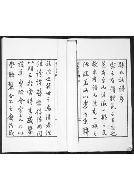 山东孙氏-孙氏支谱[2卷].pdf电子版插图2