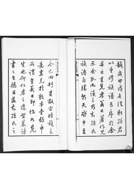 山东孙氏-孙氏支谱[2卷].pdf电子版插图4