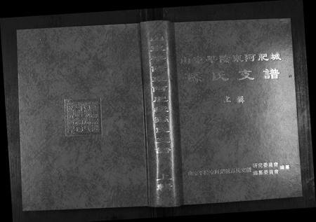 山东孙氏-孙氏支谱[上下辑].pdf电子版插图