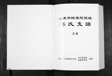 山东孙氏-孙氏支谱[上下辑].pdf电子版插图2