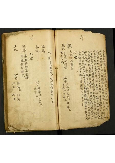 山东孙氏-孙氏支谱续志.pdf电子版插图2 山东孙氏-孙氏支谱续志.pdf电子版插图2