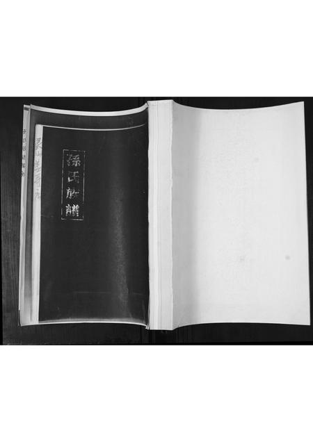 山东孙氏-孙氏族谱.pdf电子版