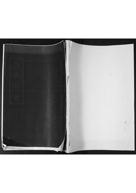 山东孙氏-孙氏族谱.pdf电子版插图 山东孙氏-孙氏族谱.pdf电子版插图