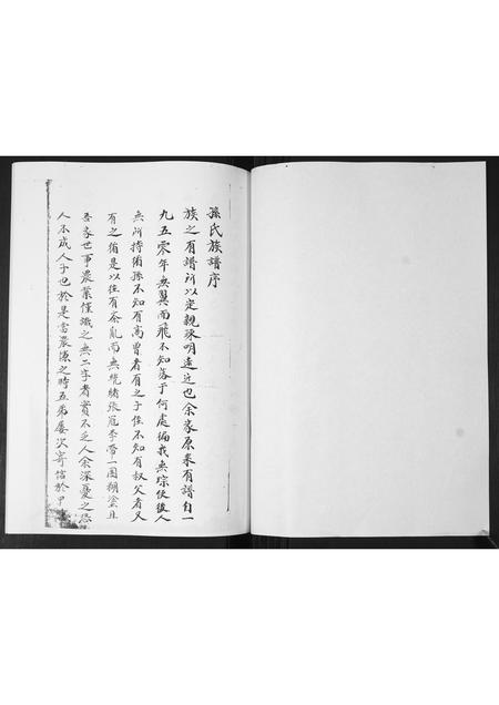 山东孙氏-孙氏族谱.pdf电子版插图1