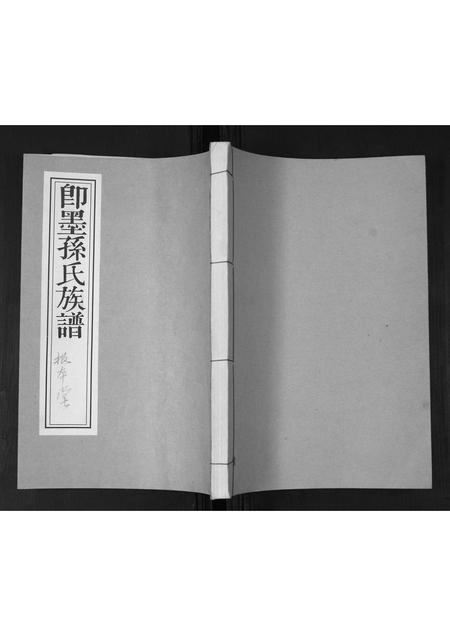 山东孙氏-孙氏族谱.pdf电子版