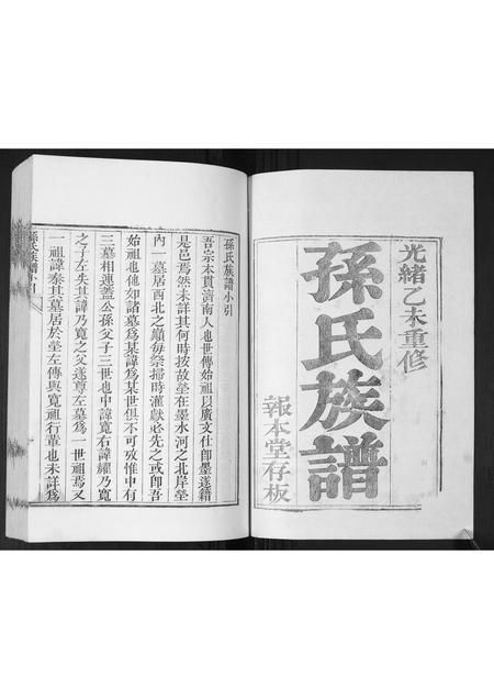 山东孙氏-孙氏族谱.pdf电子版插图1