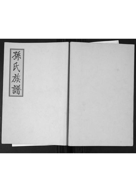 山东孙氏-孙氏族谱.pdf电子版