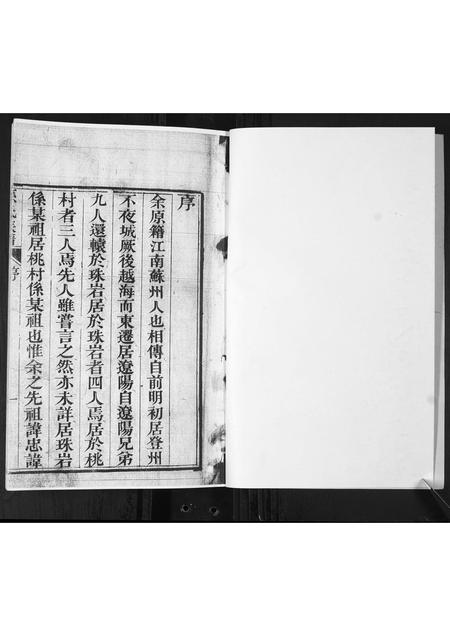 山东孙氏-孙氏族谱.pdf电子版插图2