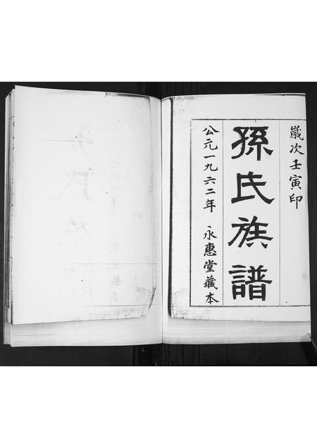 山东孙氏-孙氏族谱.pdf电子版插图1