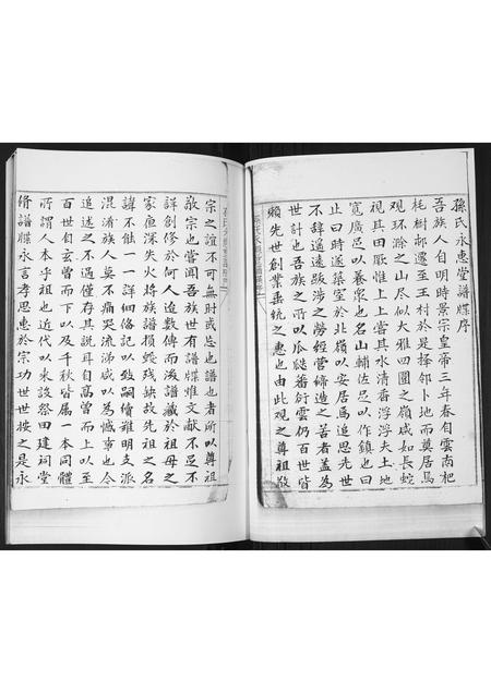 山东孙氏-孙氏族谱.pdf电子版插图2