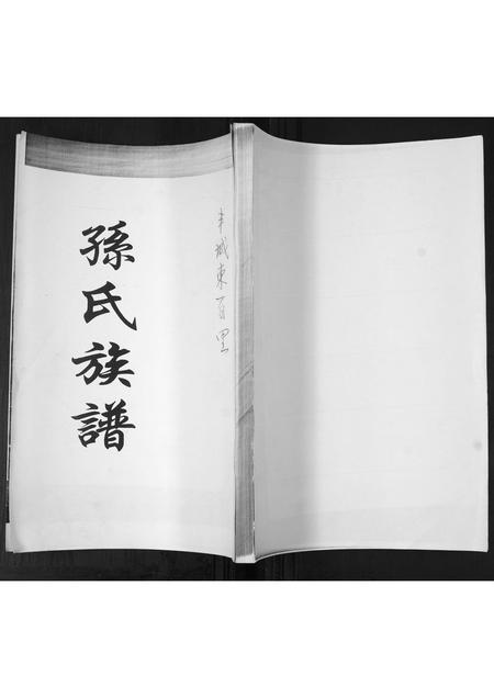 山东孙氏-孙氏族谱.pdf电子版插图 山东孙氏-孙氏族谱.pdf电子版插图