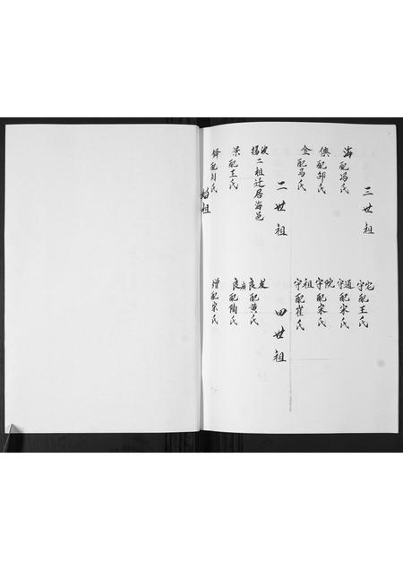 山东孙氏-孙氏族谱.pdf电子版插图5