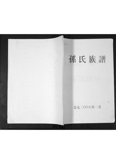 山东孙氏-孙氏族谱.pdf电子版插图 山东孙氏-孙氏族谱.pdf电子版插图